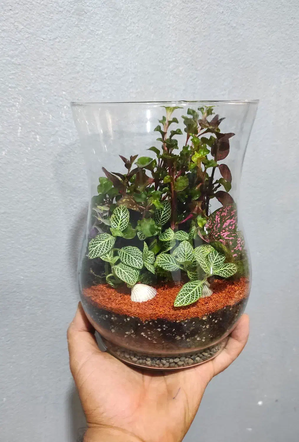 تراریوم تک|گل و گیاه طبیعی|تهران, مشیریه|دیوار