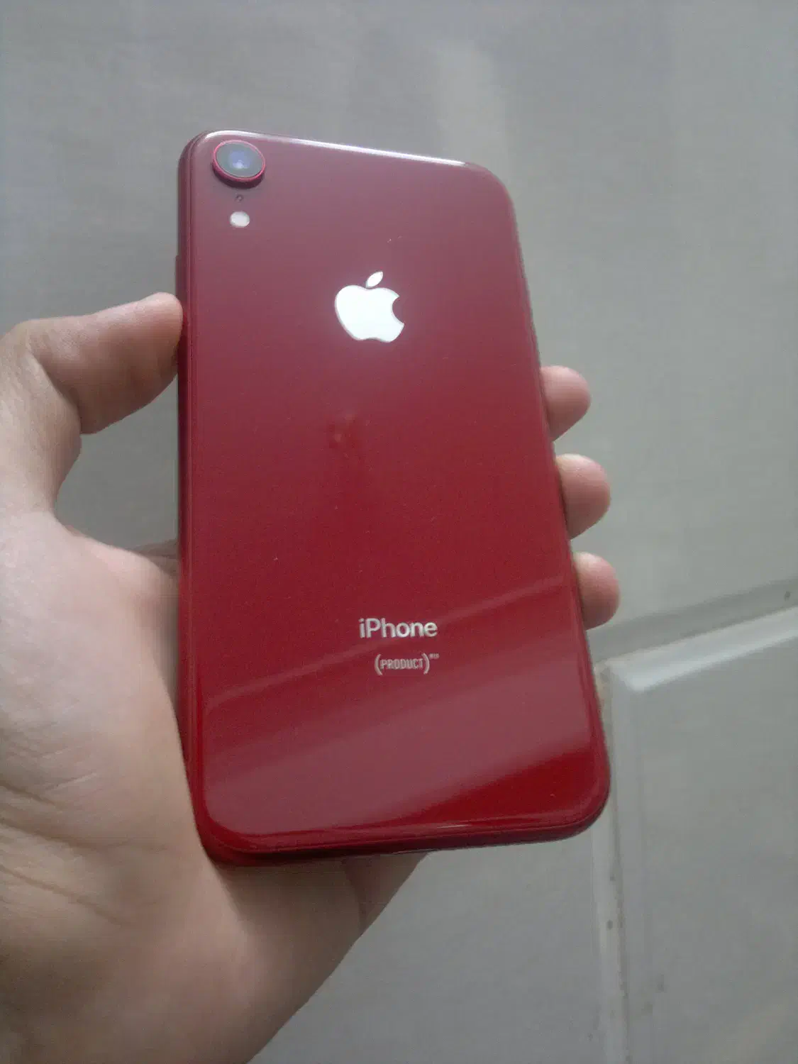 iPhone XR 256GB|موبایل|یزد, |دیوار