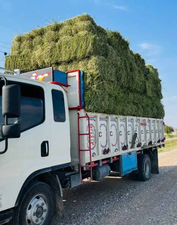 یونجه اعلاء چین چهارم|لوازم جانبی حیوانات|اصفهان, باغ فردوس|دیوار