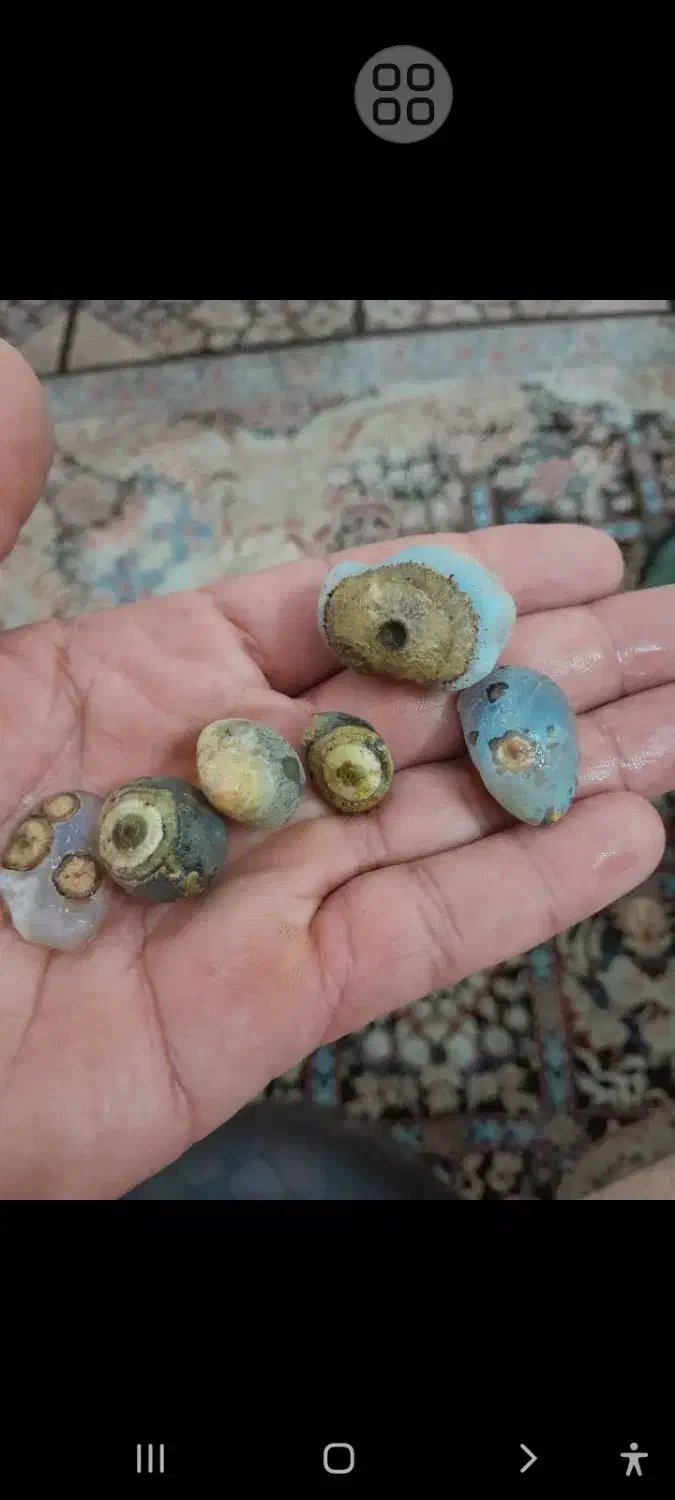 سنگ بابا قوری|کلکسیون اشیاء عتیقه|بوشهر, |دیوار