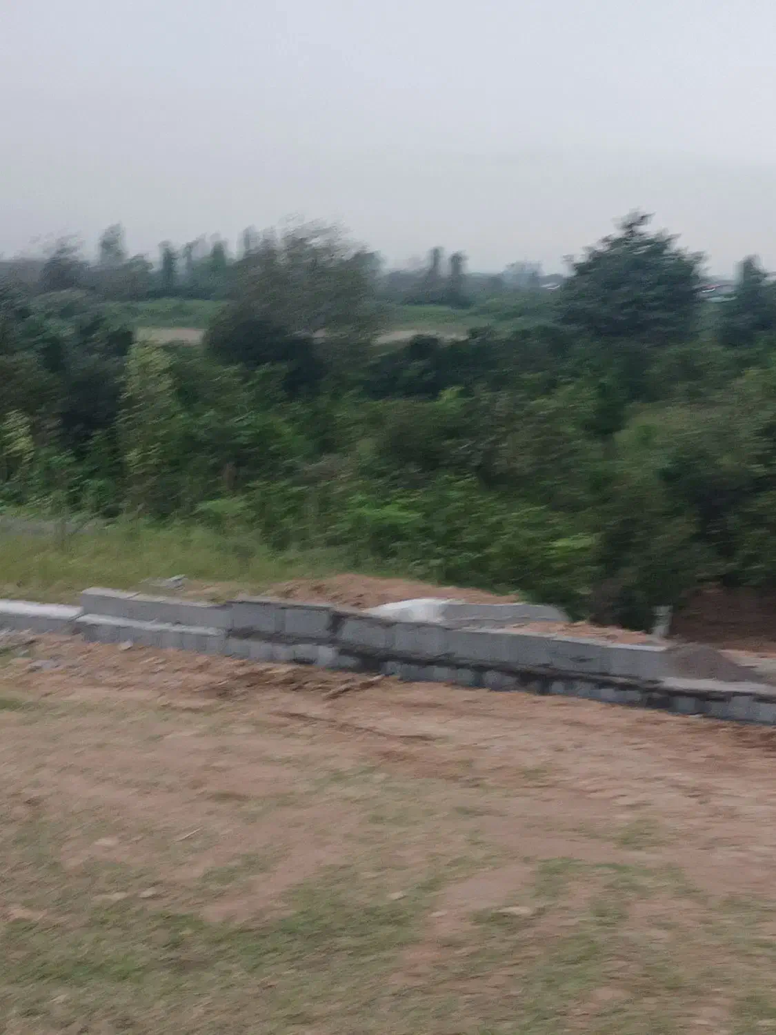 فروش زمین در جاده نظامی دیزاباد|فروش زمین و ملک کلنگی|قائمشهر, |دیوار