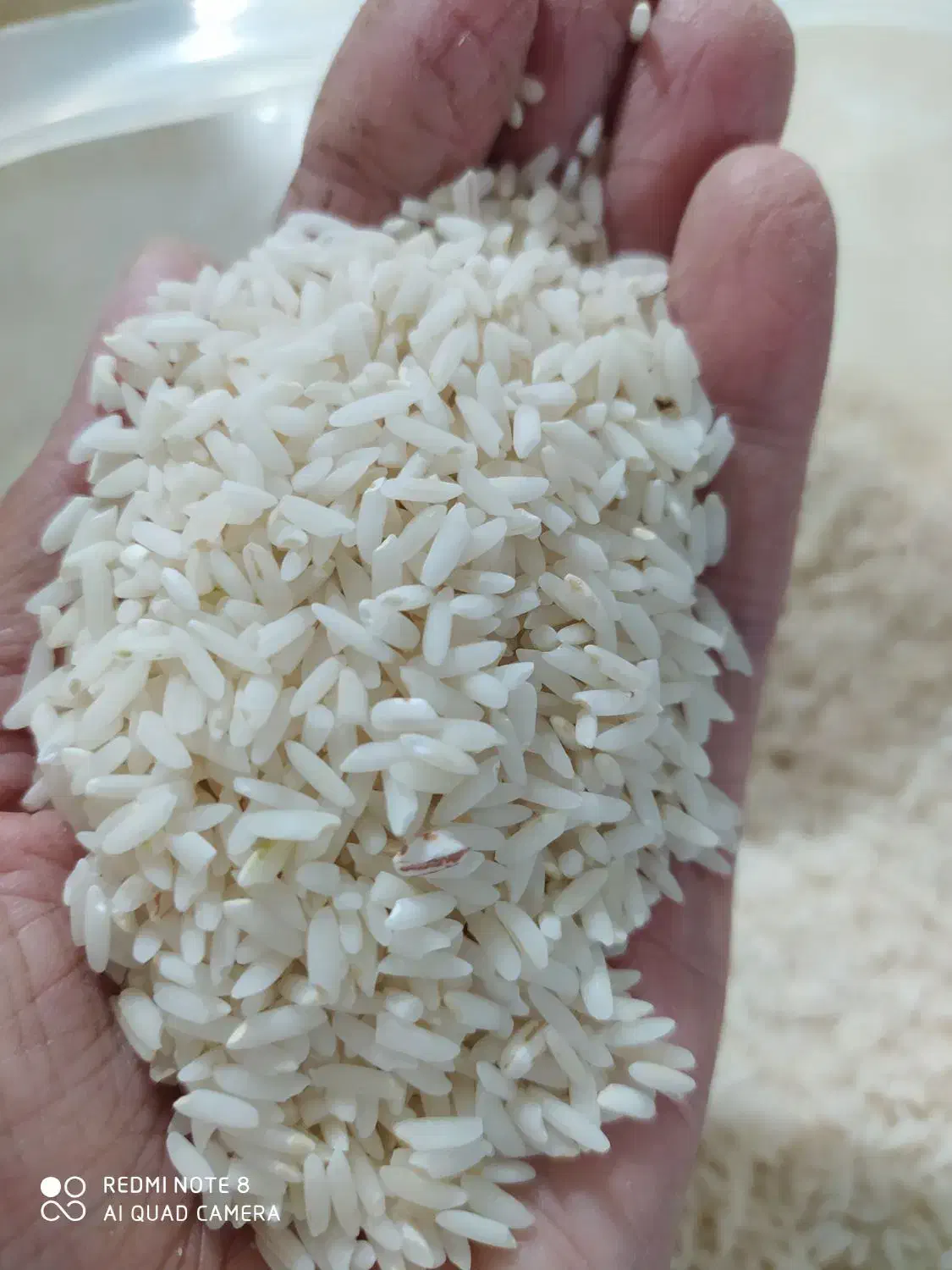 برنج محلی علی کاظمی موجود ه|خوردنی و آشامیدنی|زاغه, |دیوار