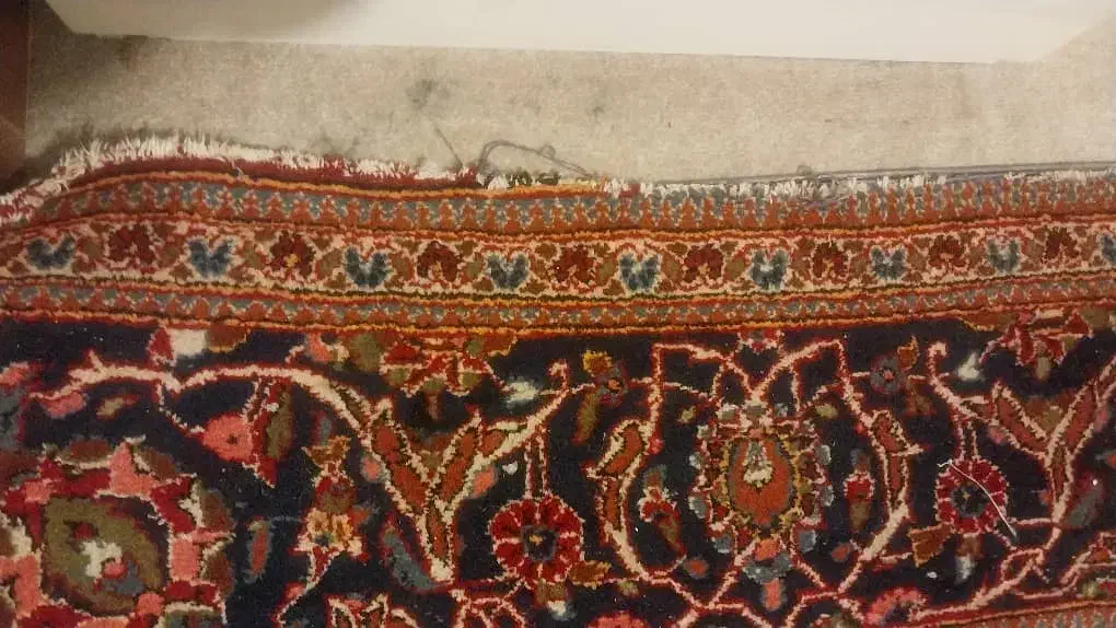 فرش دستبافت ۶ متری اردکان|فرش|قزوین, |دیوار