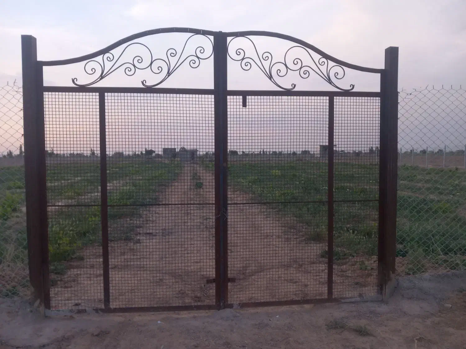 اجرای فنس کشی|خدمات باغبانی و درختکاری|اسفرورین, |دیوار