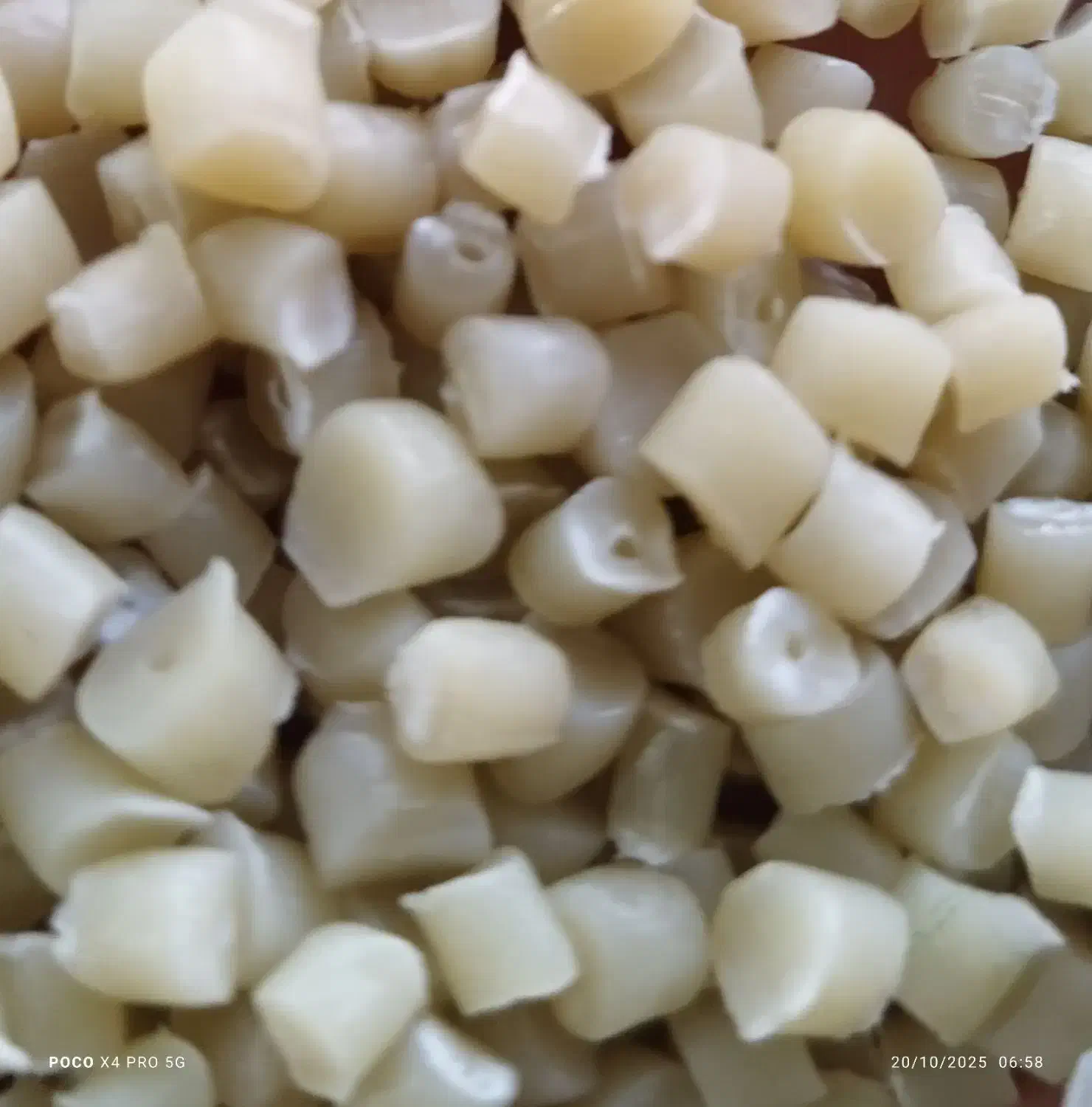 بادی بیرنگ|عمدهفروشی|اصفهان, ارداجی|دیوار