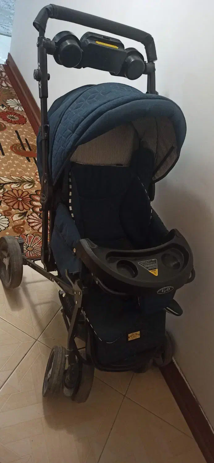 کالسکه دلیجان|کالسکه و لوازم جانبی|ملایر, |دیوار