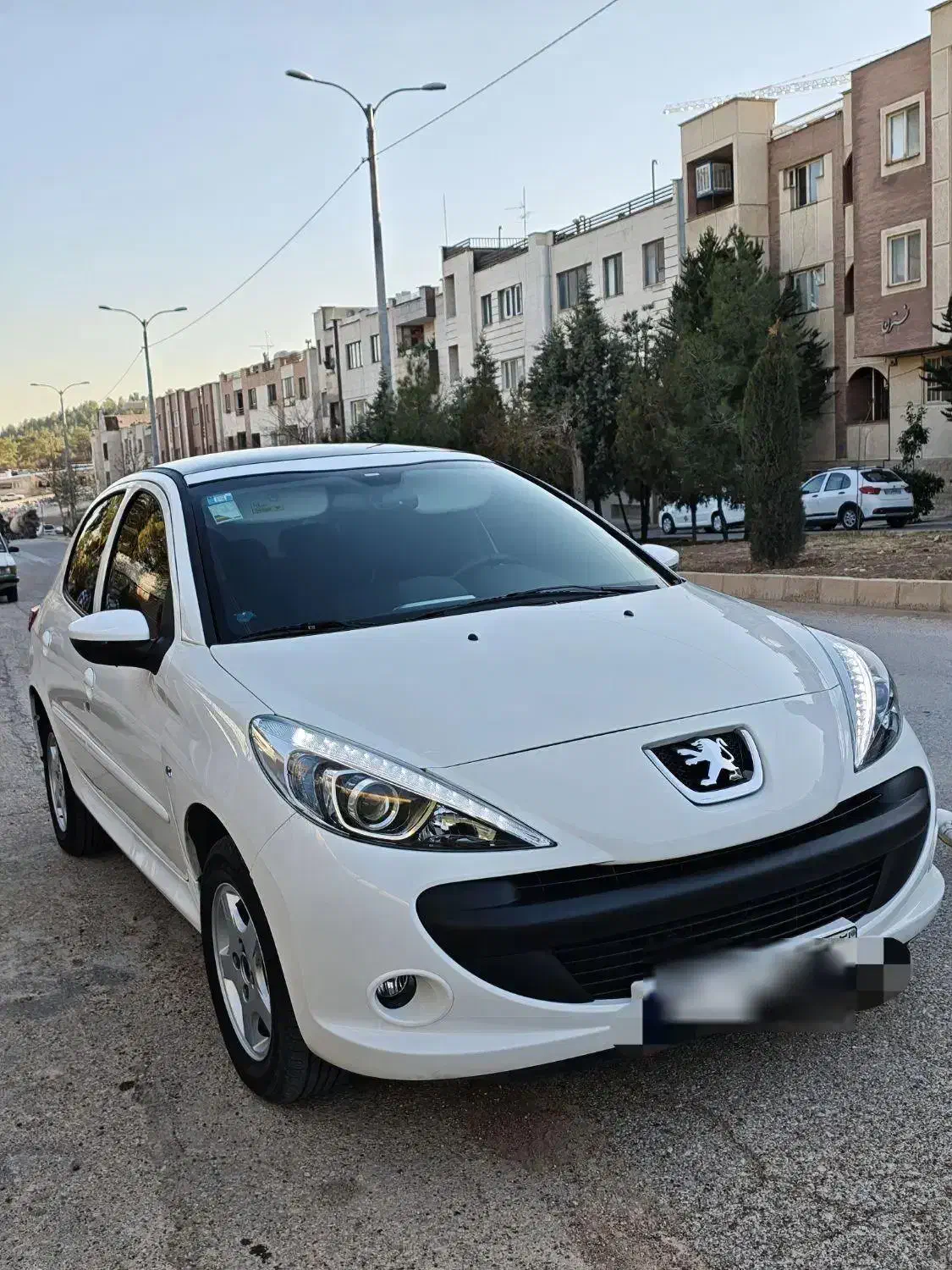 207 TU5 مدل 1404|خودرو سواری و وانت|شیراز, معالی‌آباد|دیوار