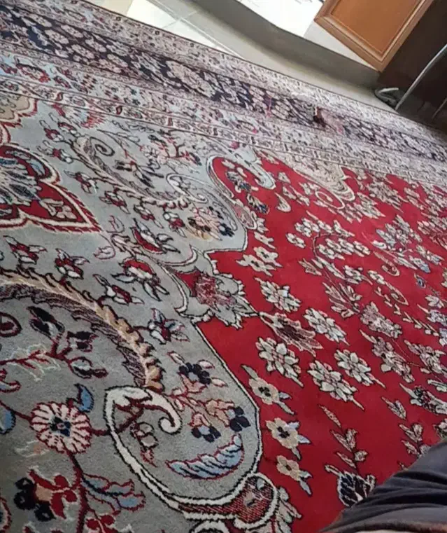 فرش دست دوم|فرش|سمنان, |دیوار