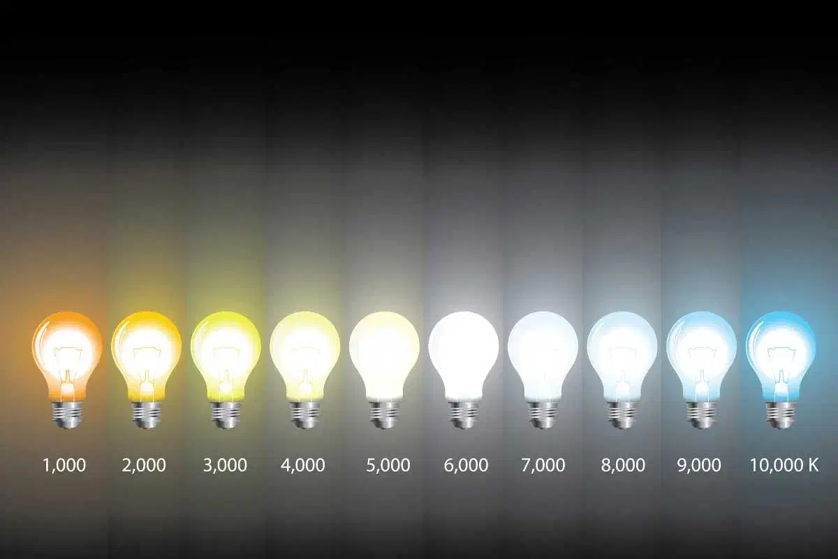 فروش لامپ های led|لامپ و چراغ|بندرعباس, |دیوار