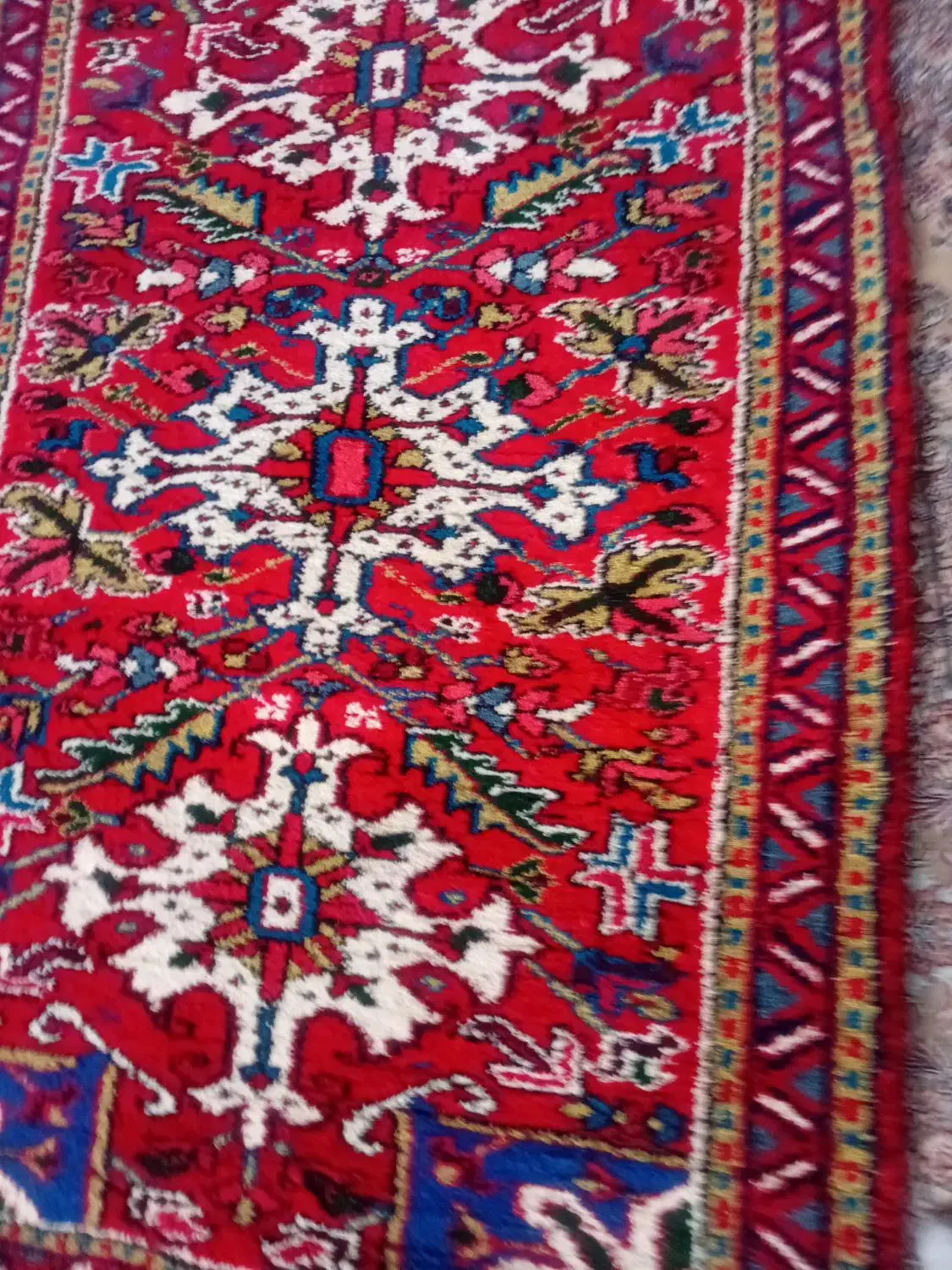 فرش زرنیم اطراف|فرش|تبریز, |دیوار