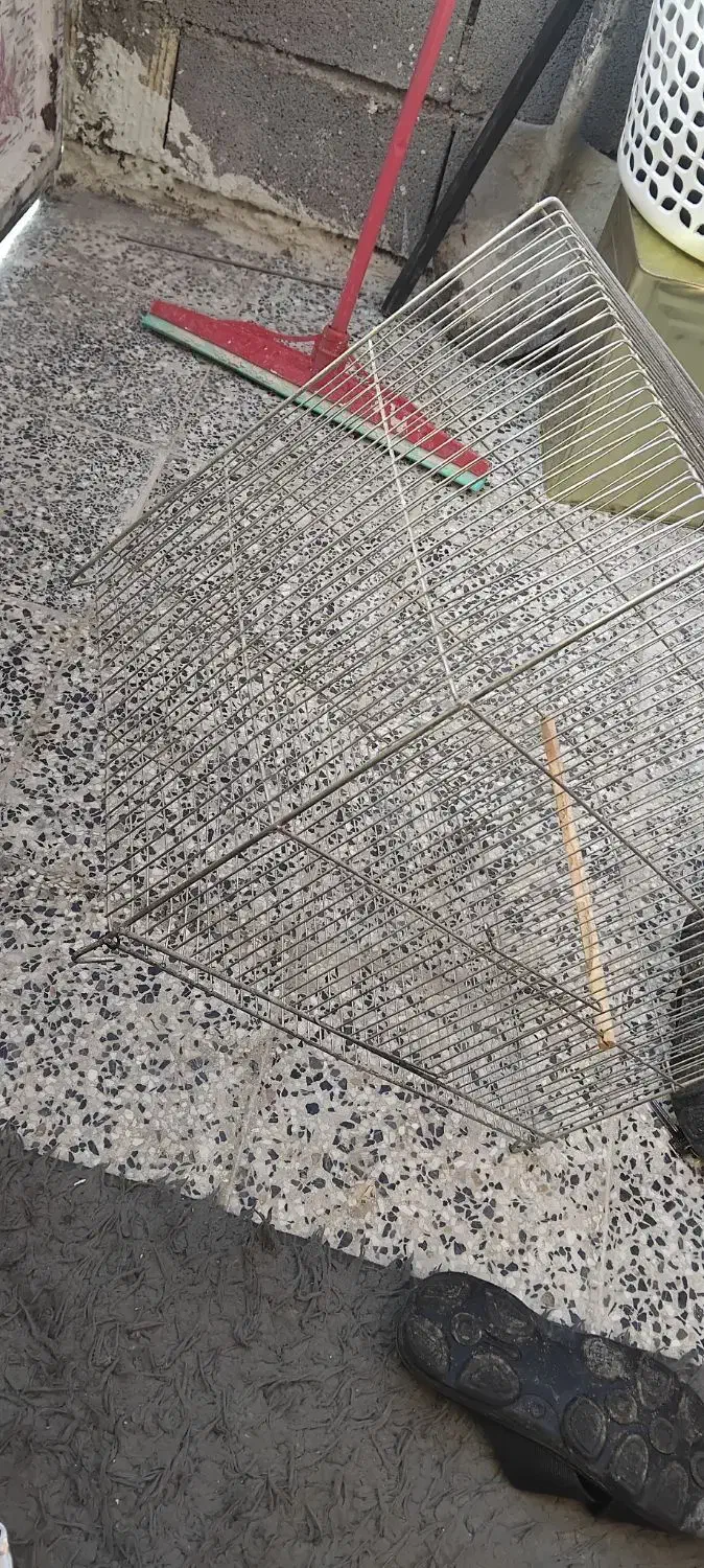 قفس درحدنو مناسب برای تمامی پرنده ها قیمت۲۴۰|لوازم جانبی حیوانات|دوگنبدان, |دیوار