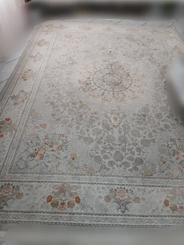 فرش ۱۲ متری|فرش|تاکستان, |دیوار