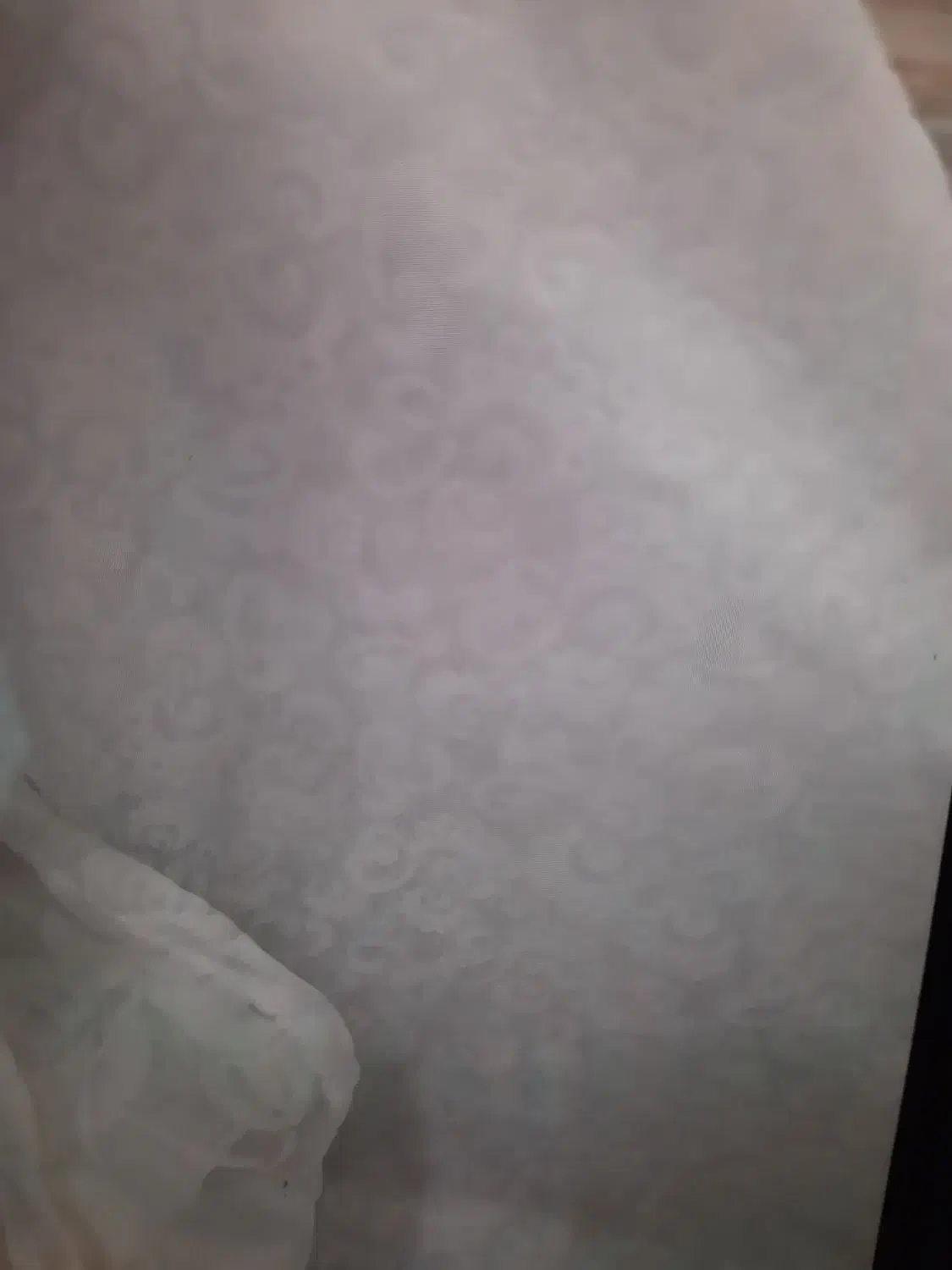 چادر عروس نونومانتو پالتو|لباس|اهواز, گلستان|دیوار