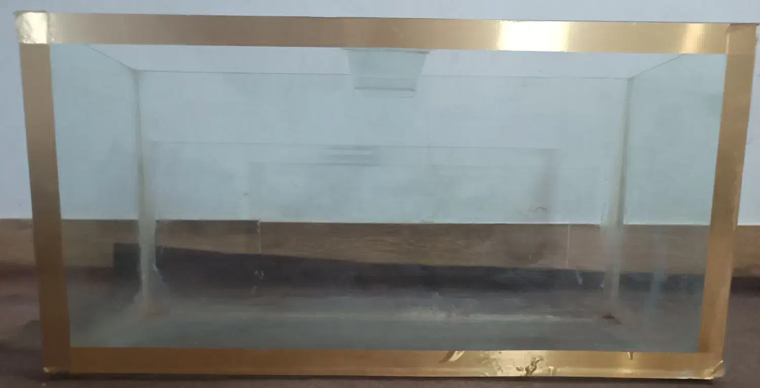 اکواریوم بزرگ|لوازم جانبی حیوانات|گلبهار, نوبهار|دیوار