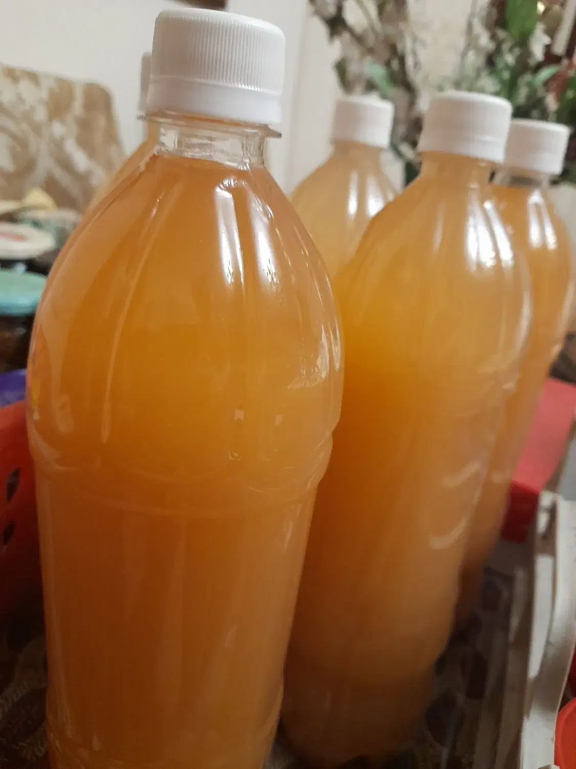 سرکه  سیب‌|خوردنی و آشامیدنی|تهران, مرزداران|دیوار