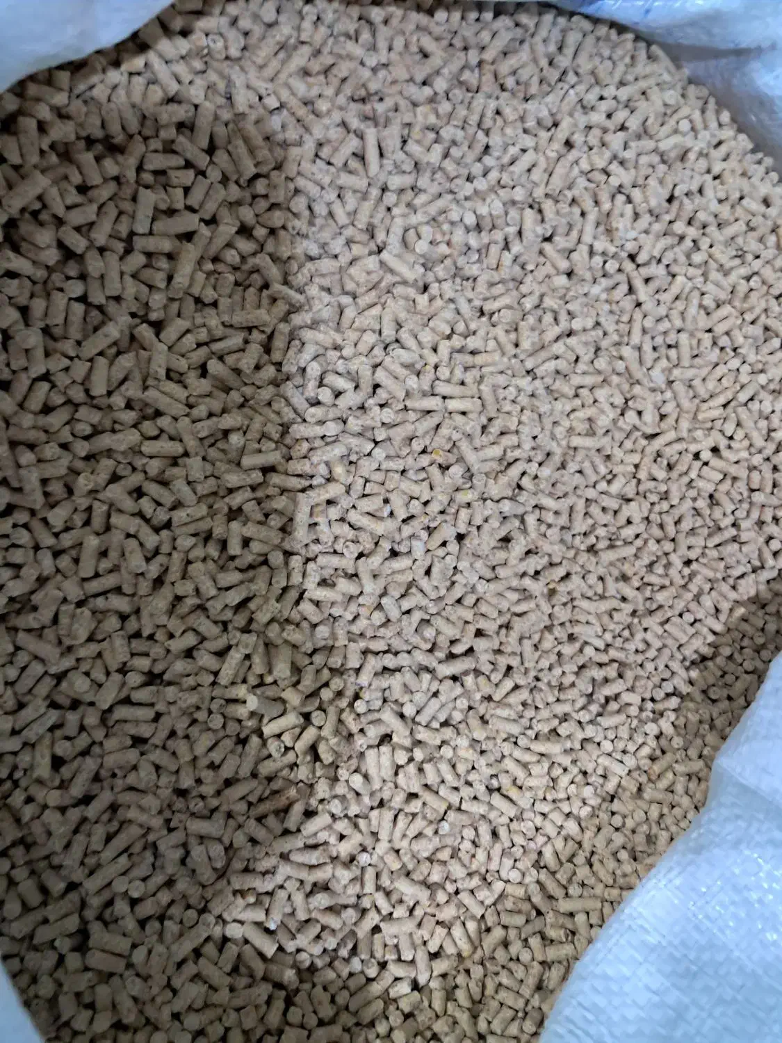 فروش دانه پارس|عمده‌فروشی|کلاله, |دیوار