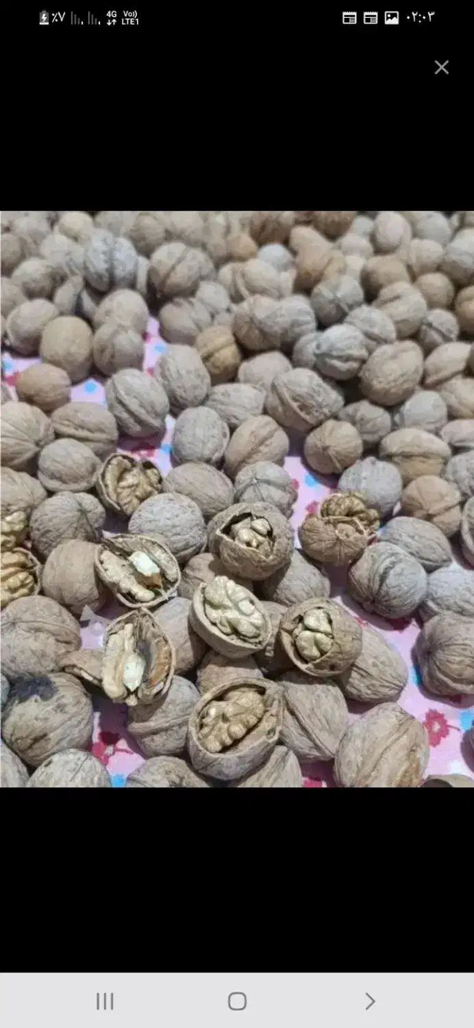 گردودشتک|خوردنی و آشامیدنی|شیراز, حومه شیراز|دیوار