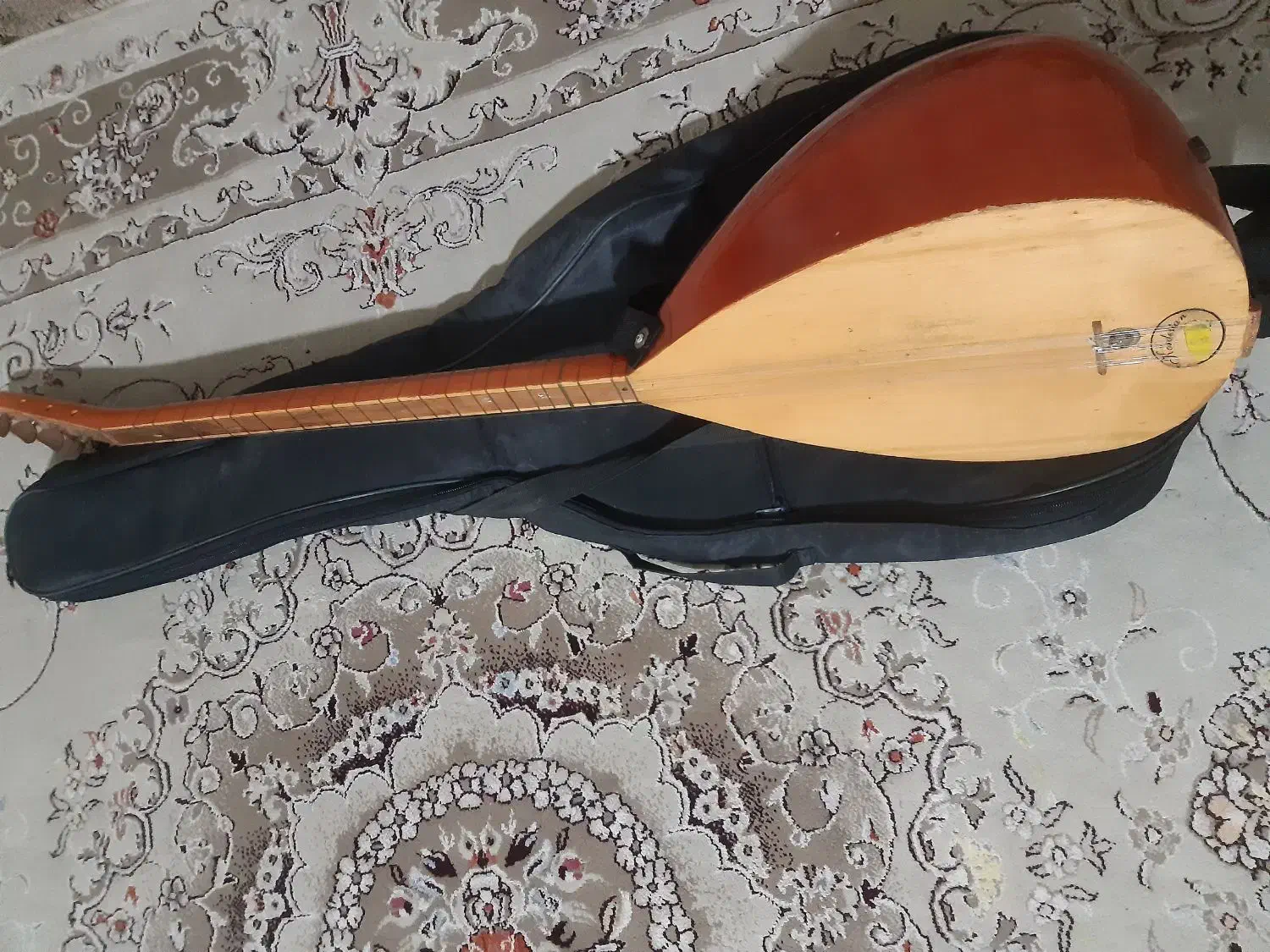 ساز باغلاما درحدنو|سازهای سنتی|هشتگرد, شهرک پارسیان|دیوار