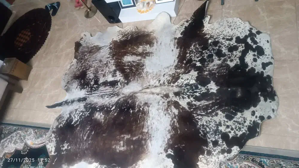 فرش تزیینی پوست گاو هلندی طبیعی|فرش|کتالم و سادات شهر, |دیوار