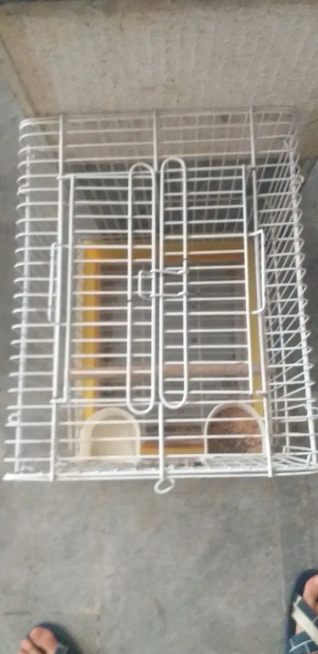 ۲ عدد قفس|لوازم جانبی حیوانات|تهران, حافظیه|دیوار