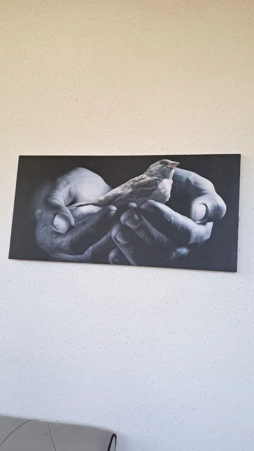 تابلو طرح رئال|تابلو، نقاشی، عکس|صومعه‌سرا, |دیوار