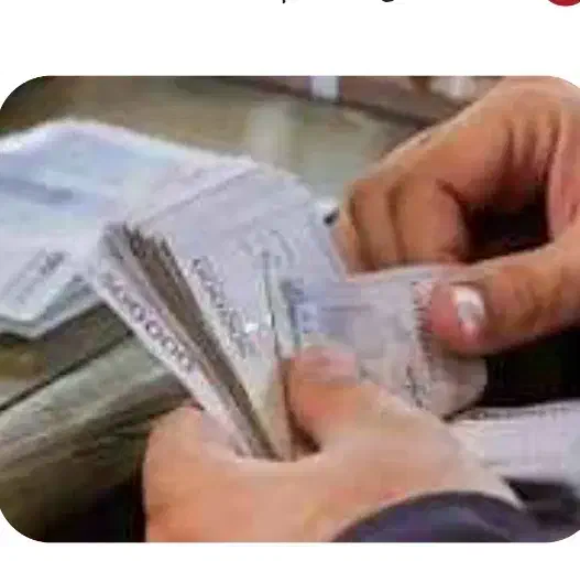 نیازمند ضامن یا جواز کسب|فعالیت داوطلبانه|جیرفت, |دیوار