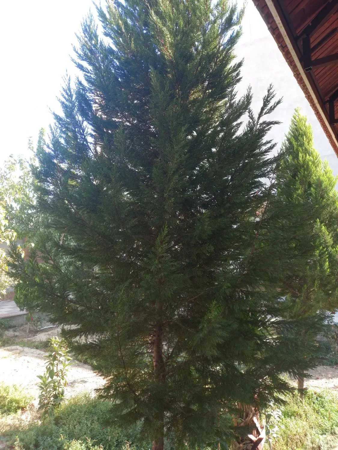 ویلا باغ داخل مجموعه اشکاوند|فروش خانه و ویلا|اصفهان, قلعه جوم|دیوار