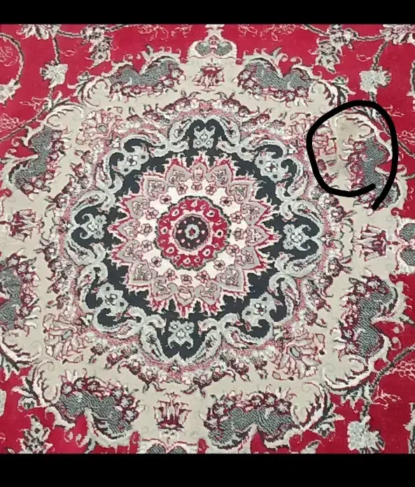 فرش ۶ متری|فرش|محمدشهر, یزدیها|دیوار