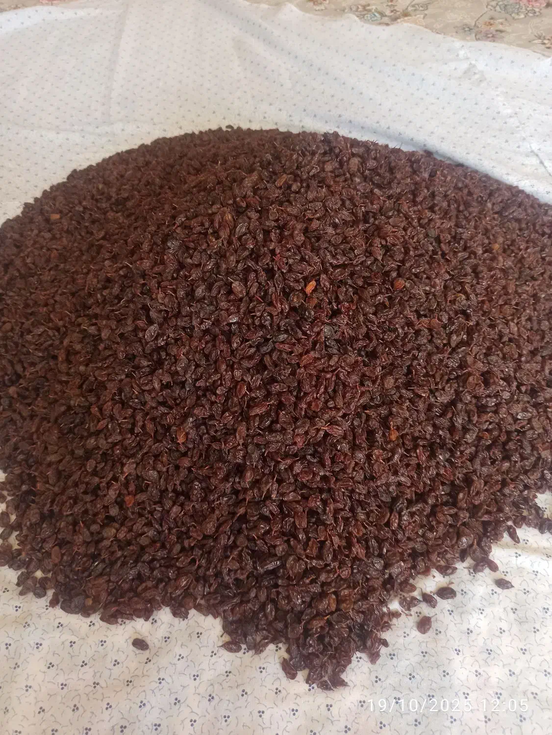 کشمش آفتابی|خوردنی و آشامیدنی|شهرکرد, |دیوار