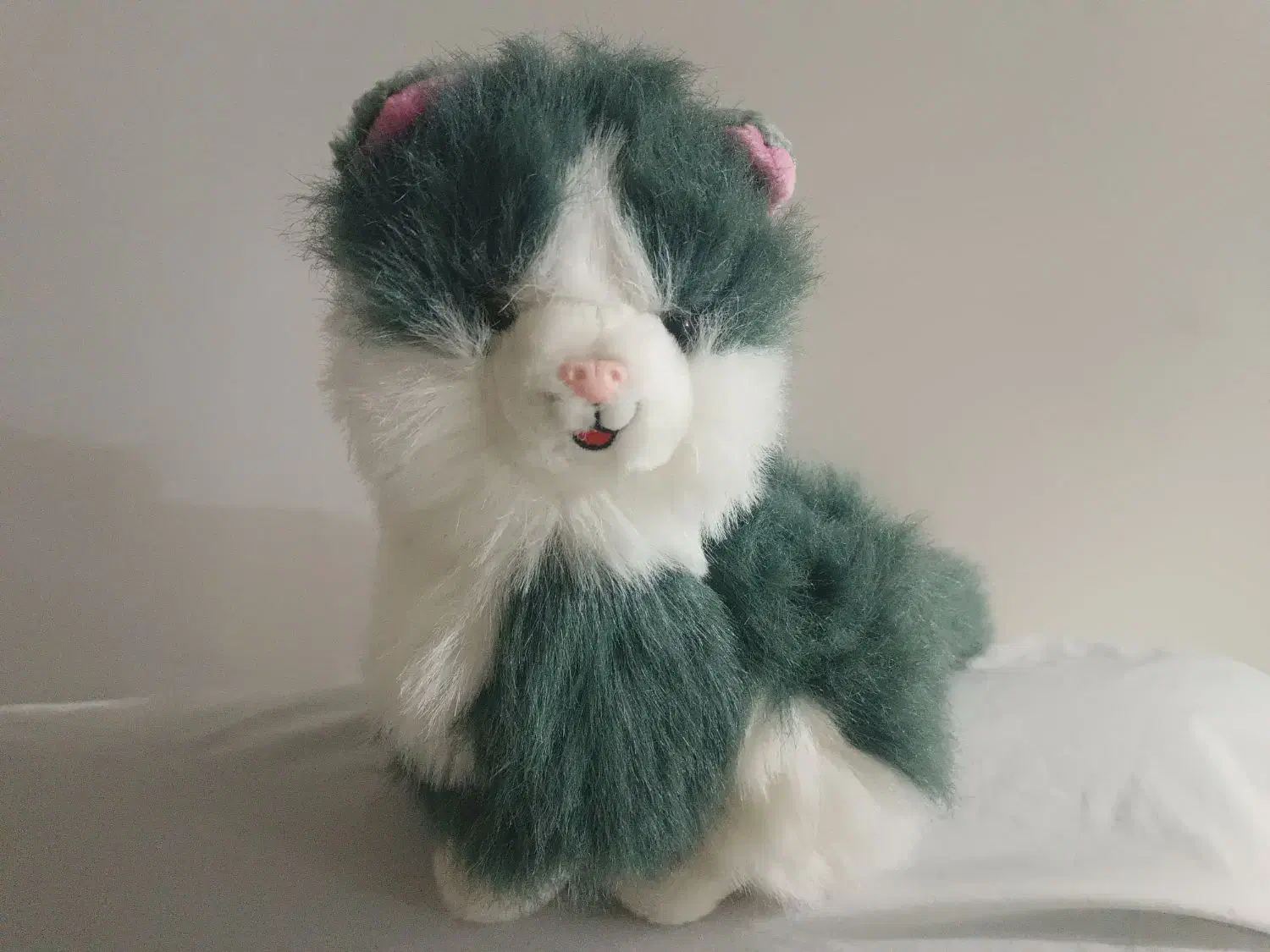 عروسک  گربه|اسباب‌‌بازی|شیراز, تلخ داش|دیوار