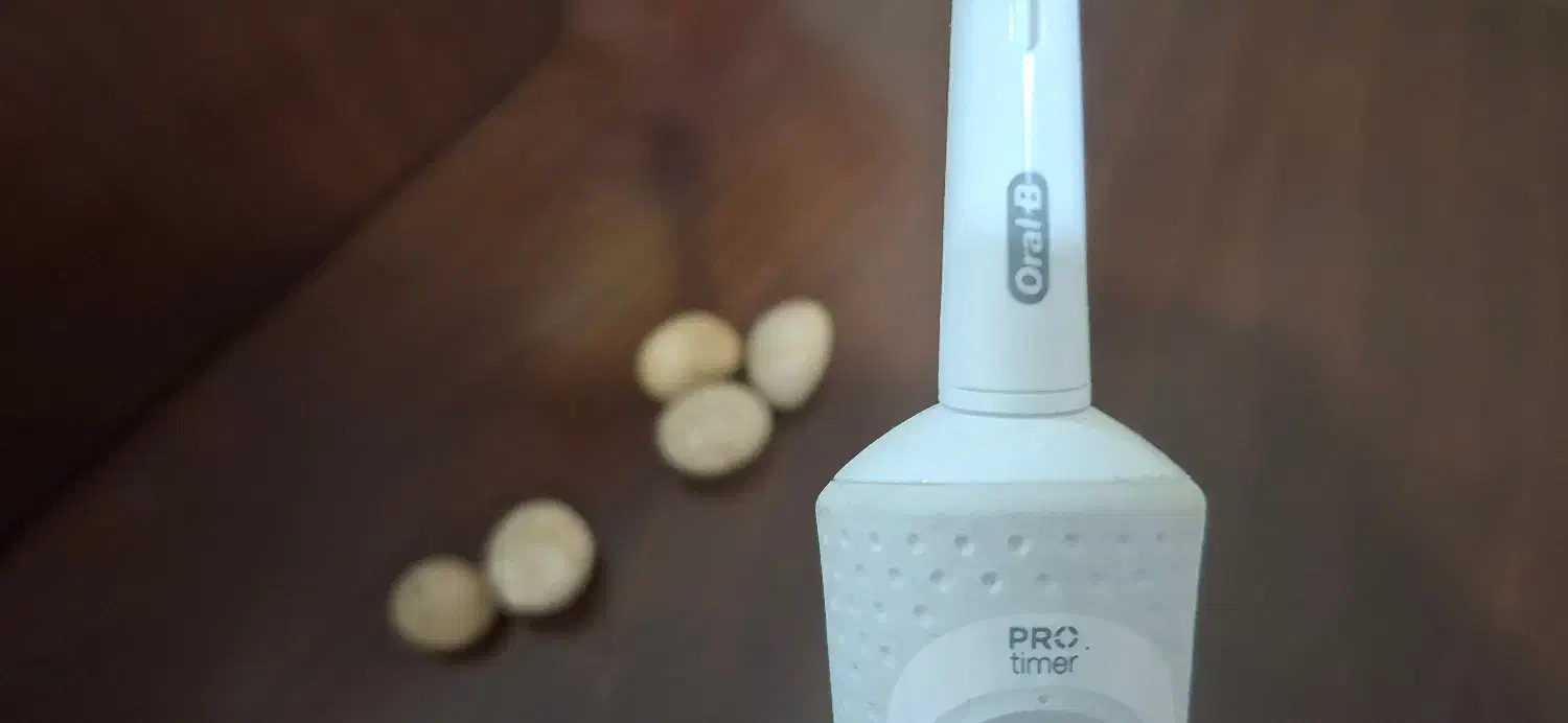 مسواک برقی نوی نو|آرایشی، بهداشتی، درمانی|مشهد, پایگاه شکاری|دیوار