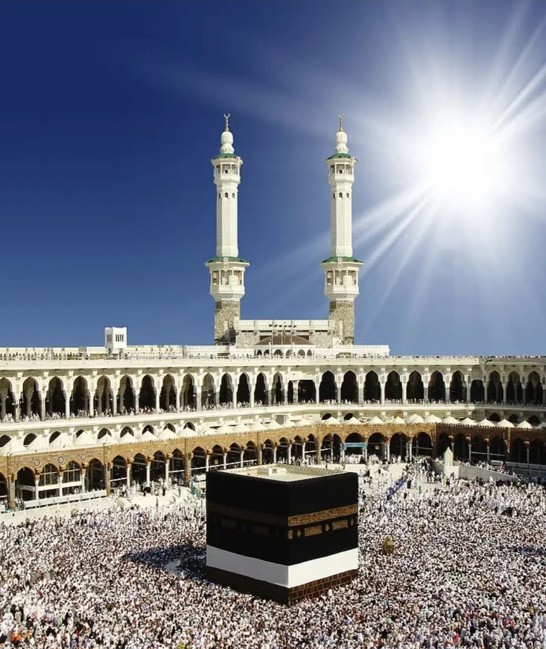 فیش حج تمتع|تور و چارتر|گرگان, |دیوار