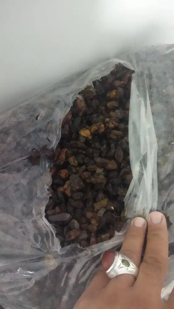 کشمش آفتابی درجه یک|خوردنی و آشامیدنی|مهریز, |دیوار