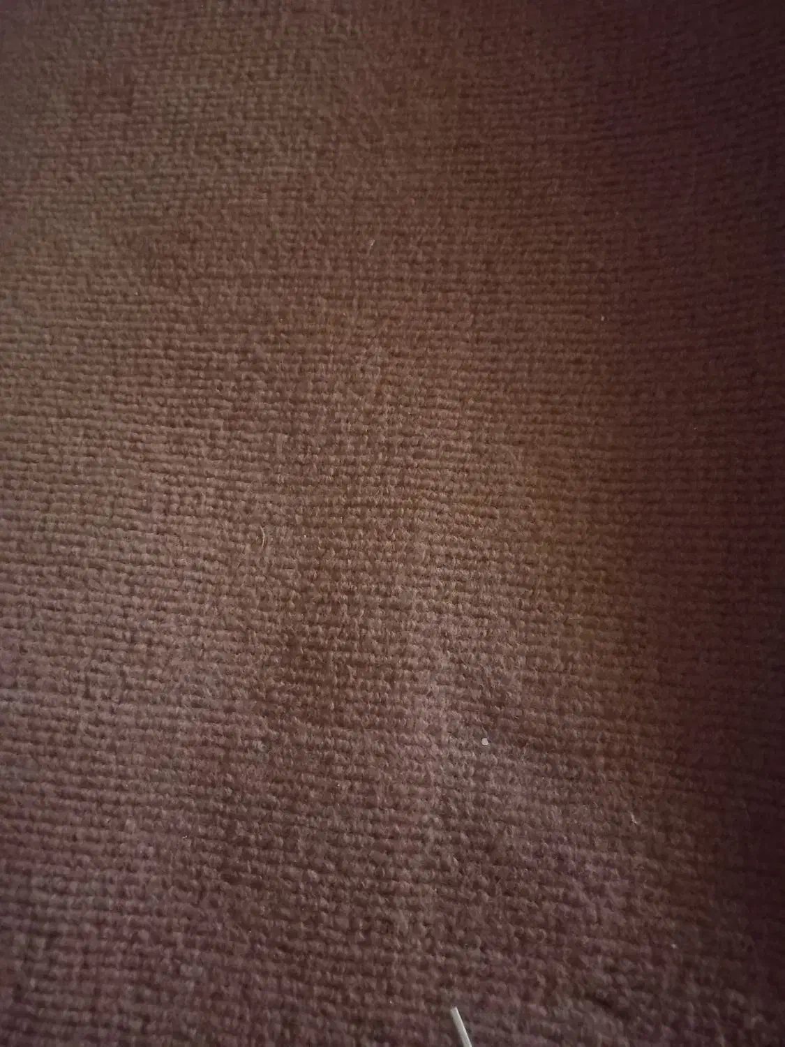 موکت|موکت|کوهدشت, |دیوار