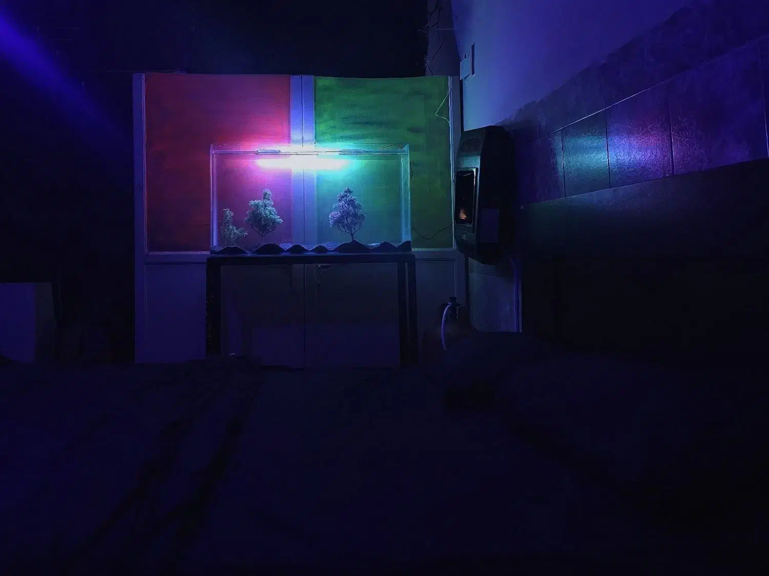 سوییت همکف خیابان دانشجو|اجارهٔ کوتاهمدت آپارتمان و سوئیت|زاهدان, |دیوار