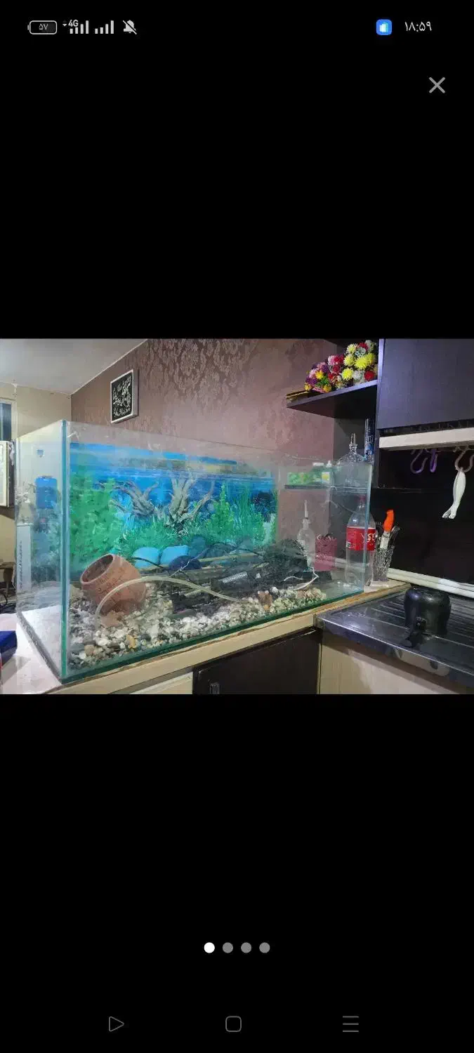 اکواریوم فروش فوری|ماهی|اهواز, شریعتی جنوبی|دیوار