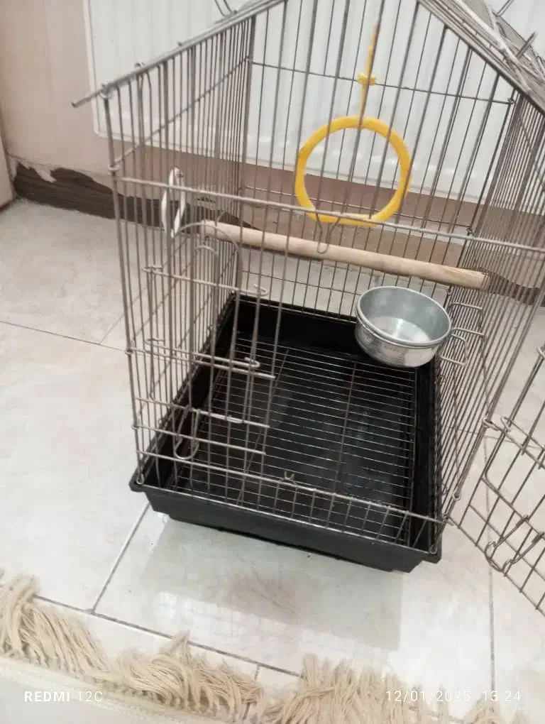 قفس طوطی و عروس هلندی|لوازم جانبی حیوانات|شهریار, شهریار|دیوار