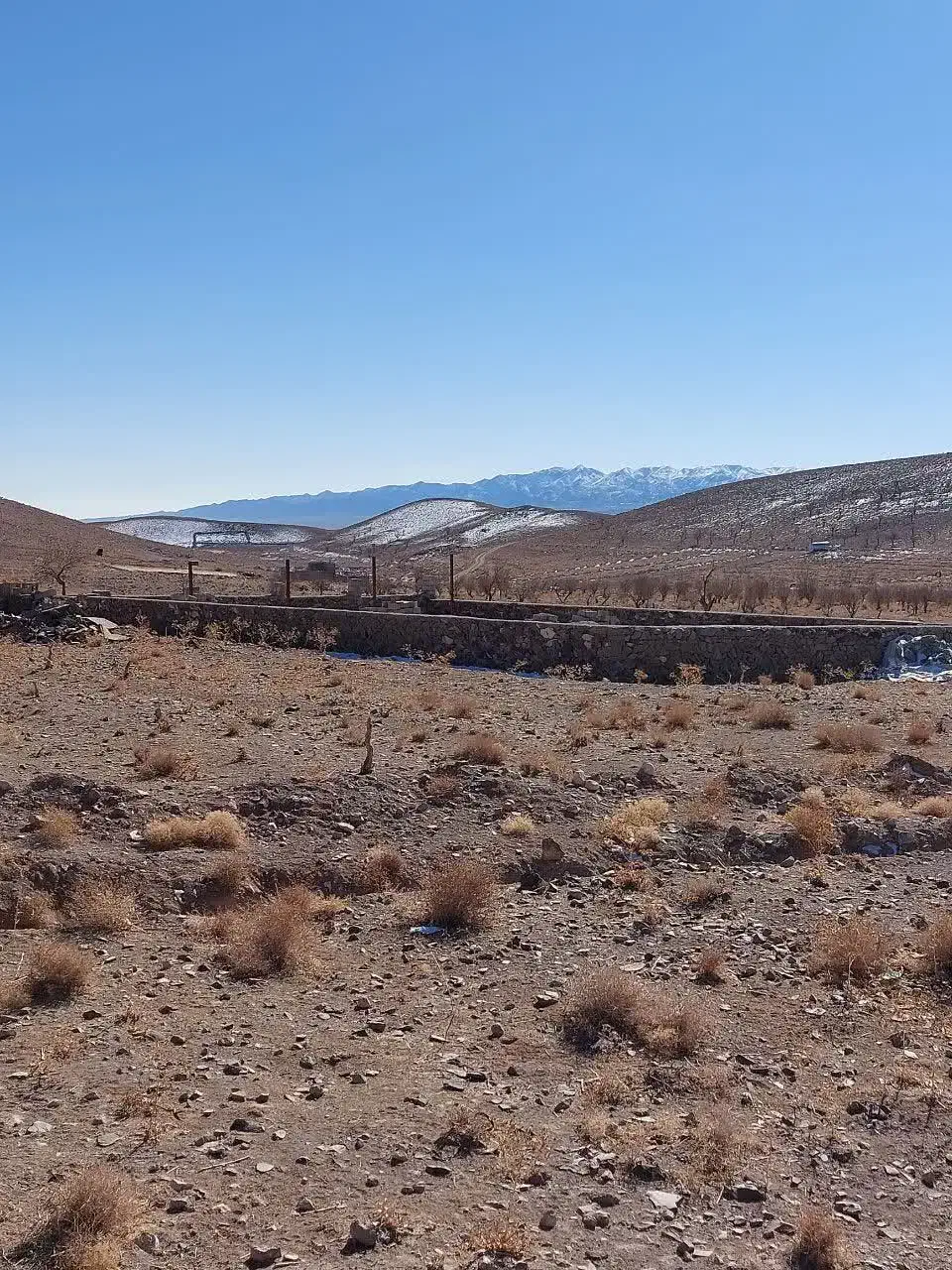 زمین آینده دار زعفرون زار دُرُخش|فروش زمین و ملک کلنگی|قهستان, |دیوار