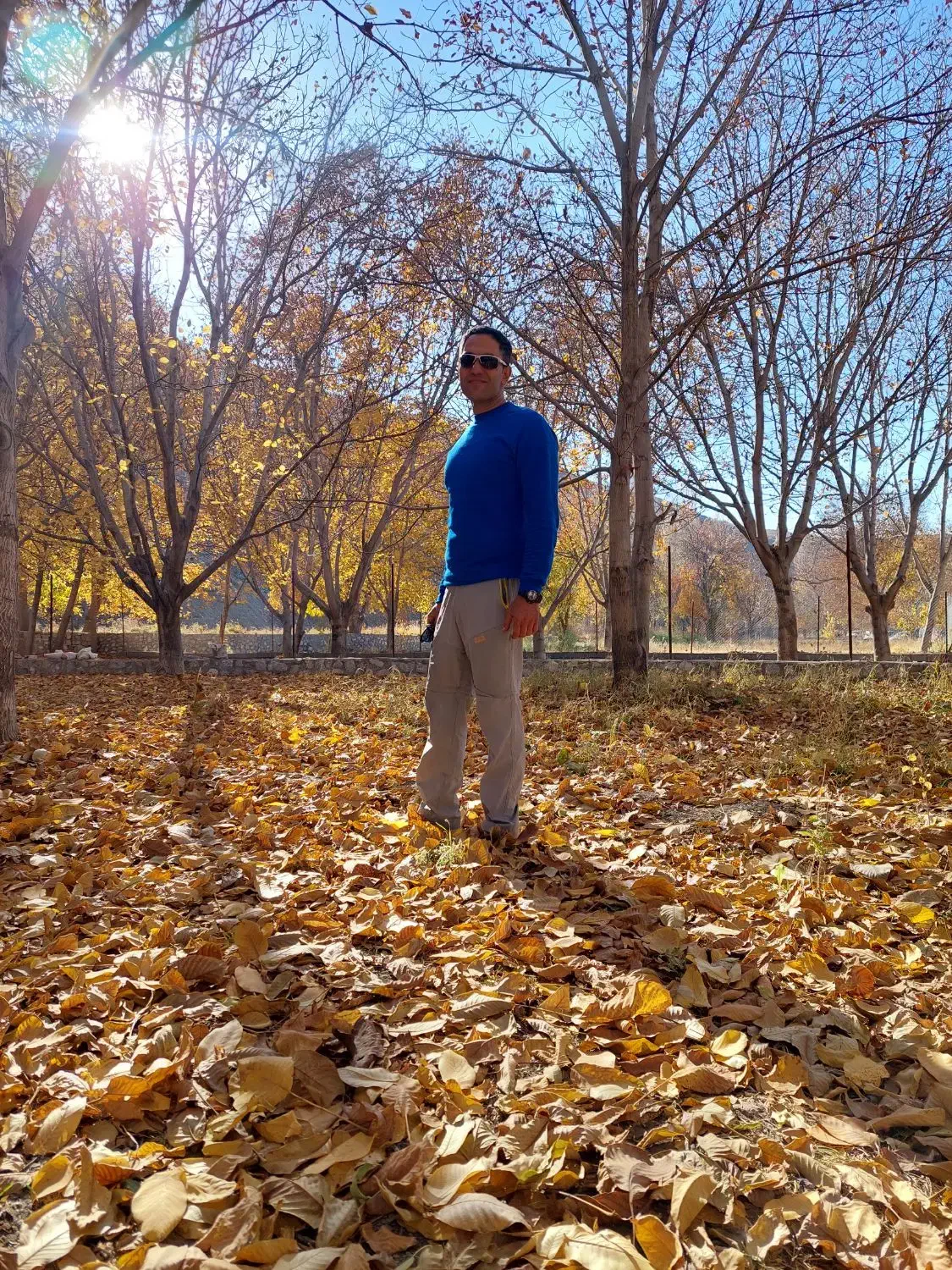 مژدگانی عینک گمشده|اشیا|گلپایگان, |دیوار