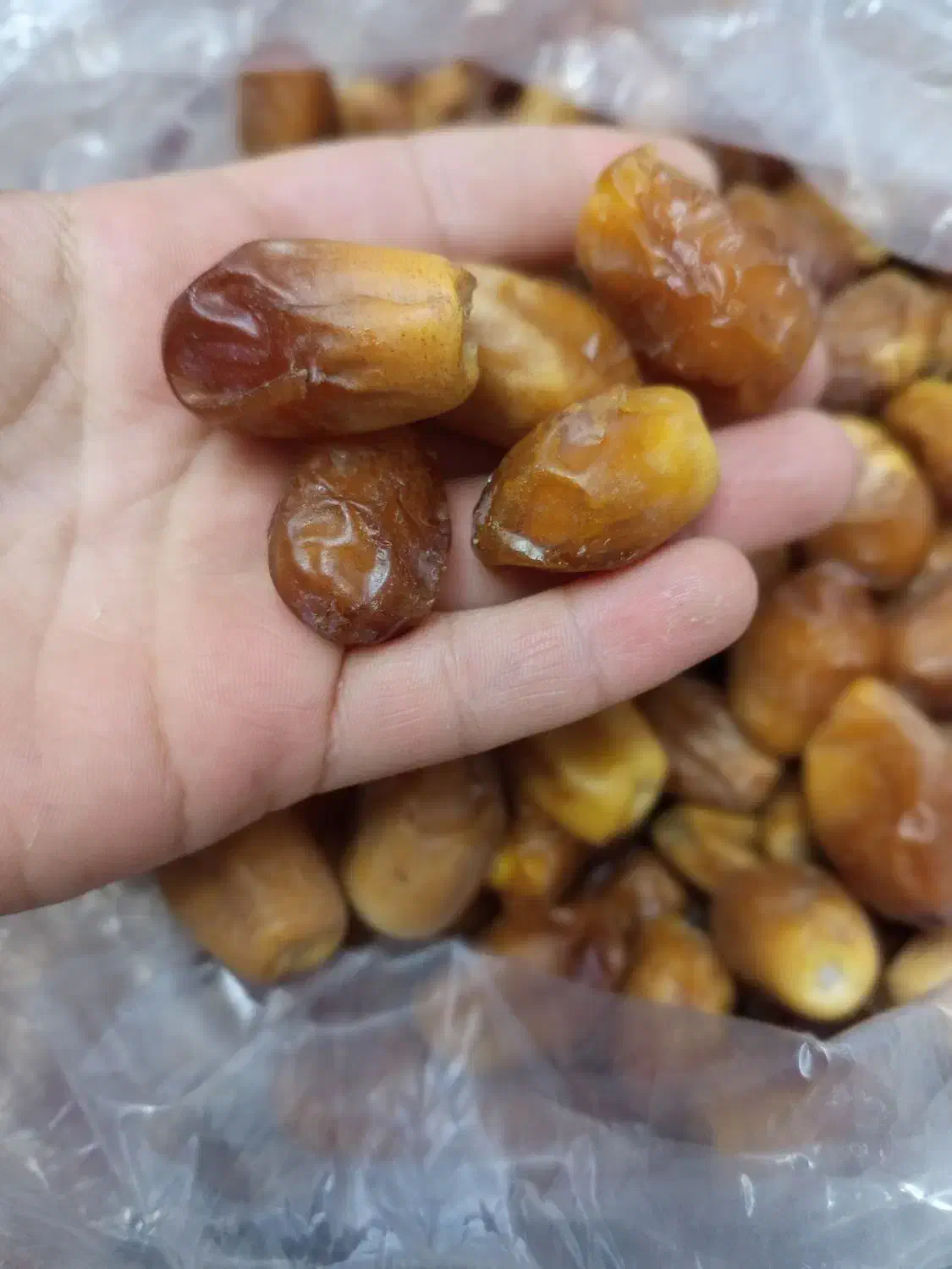 قصب تازه|خوردنی و آشامیدنی|صدرا-فارس, فاز ۱|دیوار