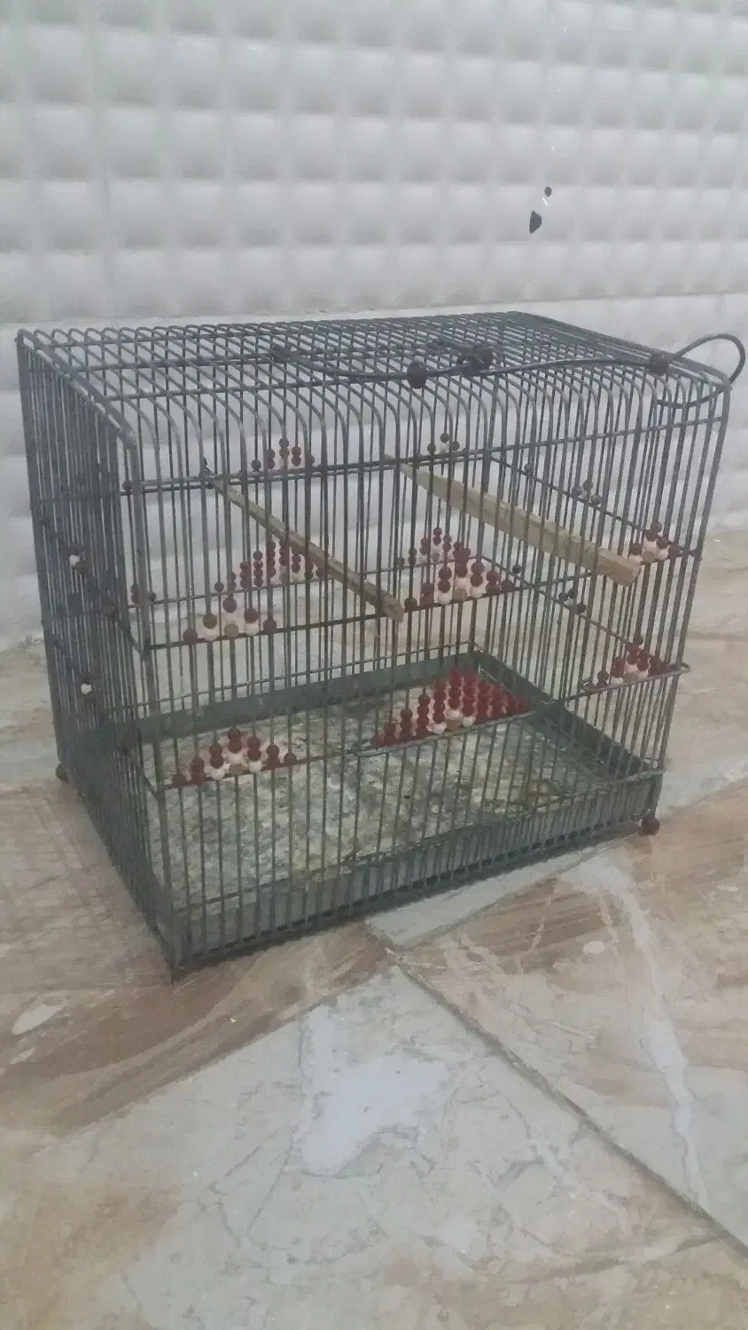 فروش قفس پرنده|لوازم جانبی حیوانات|مهر, |دیوار