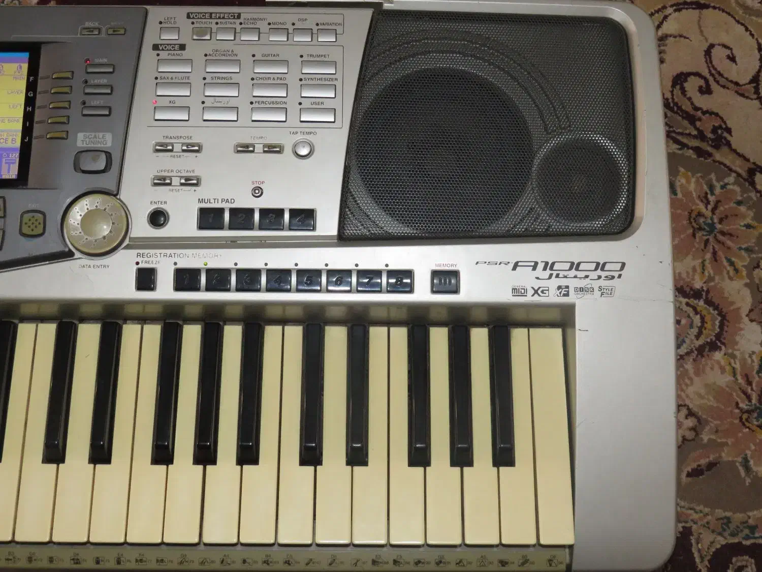 ارگ یاماها a1000|پیانو، کیبورد، آکاردئون|مشهد, رباط طرق|دیوار