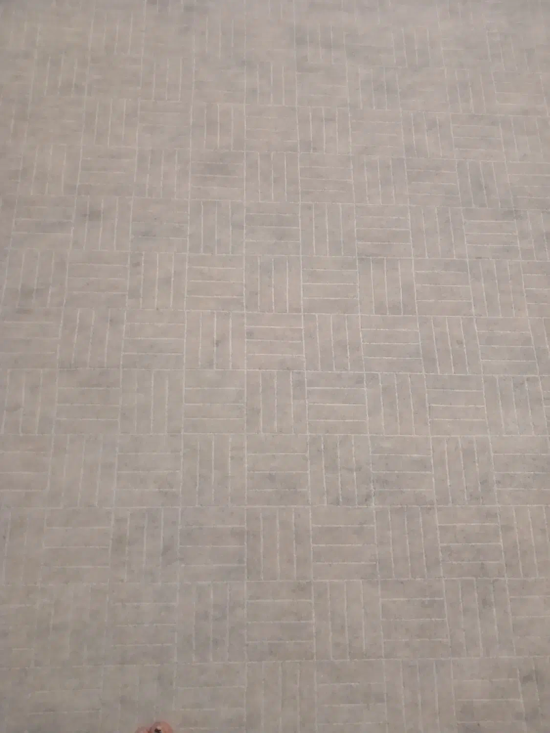 فروش موکت|موکت|لردگان, |دیوار