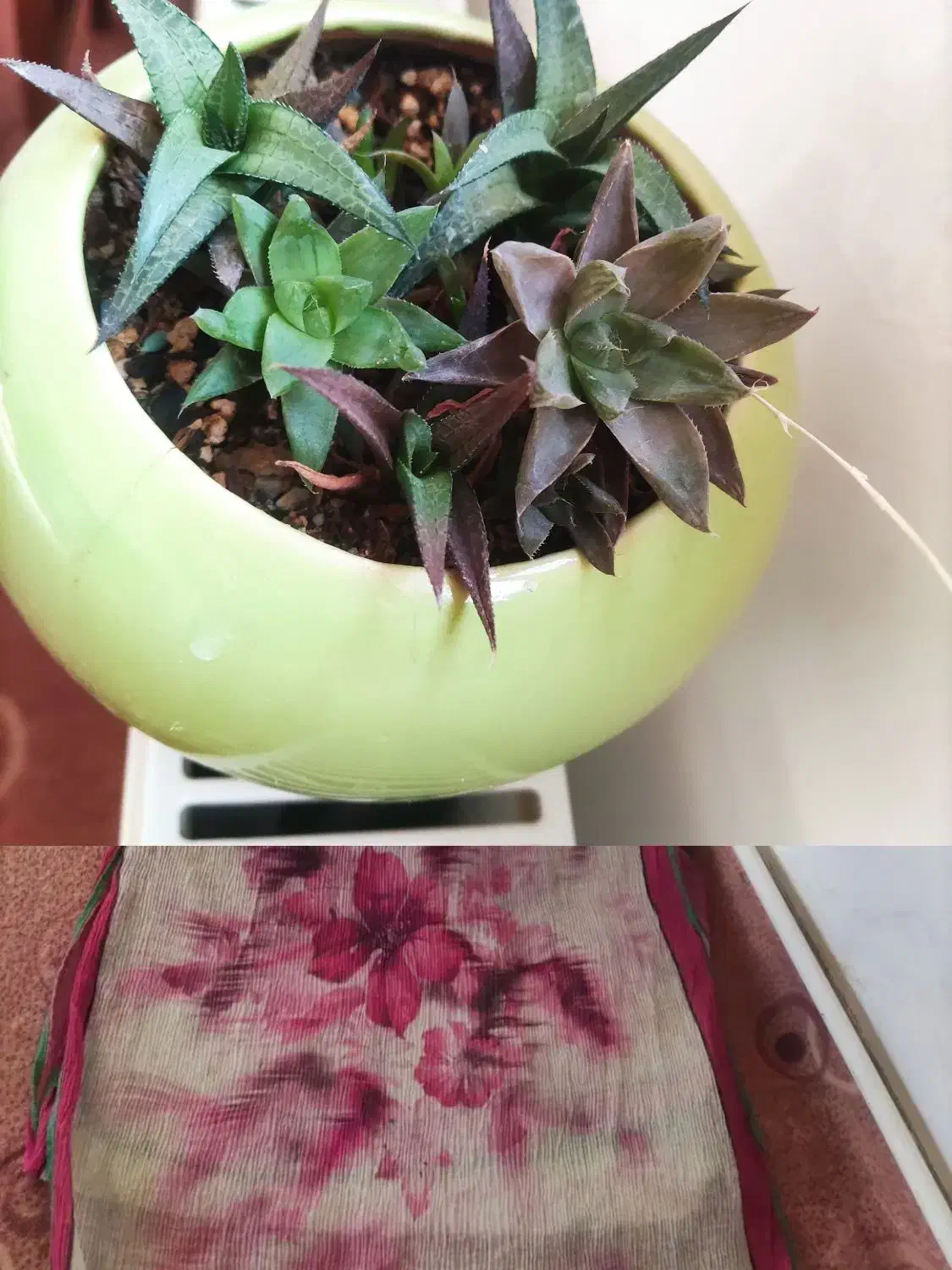 شال پفکی و گل|لباس|مرند, |دیوار