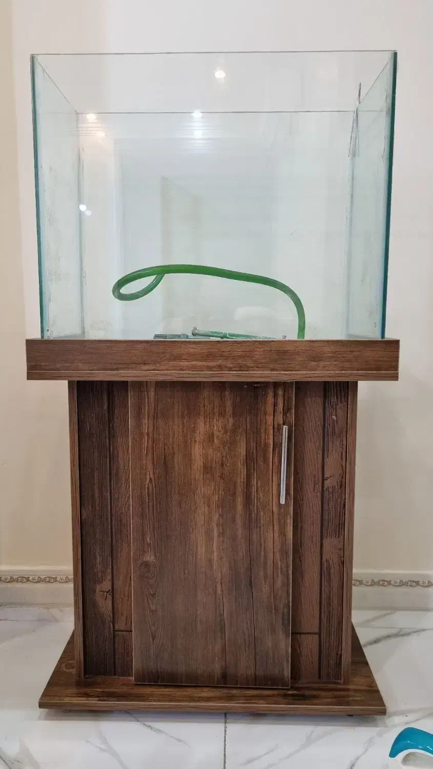 اکواریوم پلنت|ماهی|تهران, مقدم|دیوار