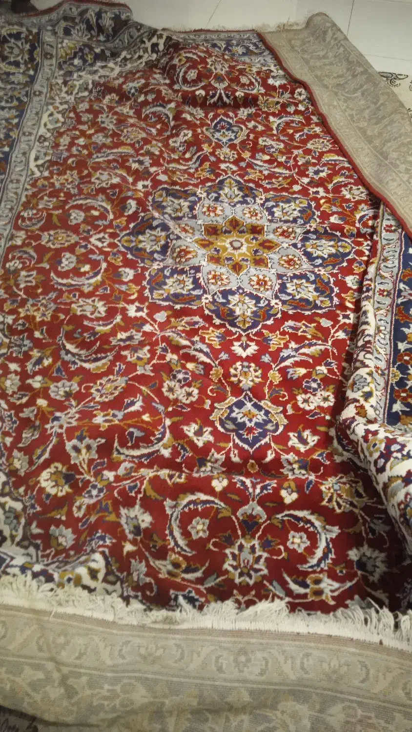 فرش ۶ متری تمیز و سالم|فرش|بهار, |دیوار