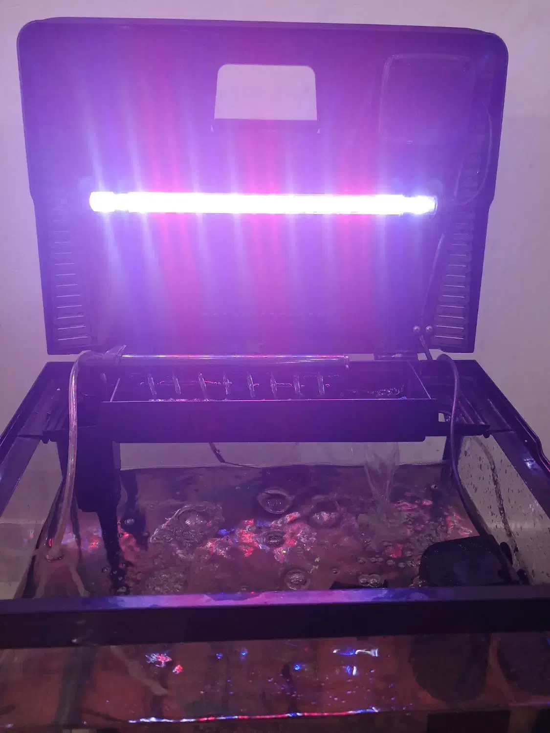 آکواریوم ماهیران|ماهی|رشت, حمیدیان|دیوار