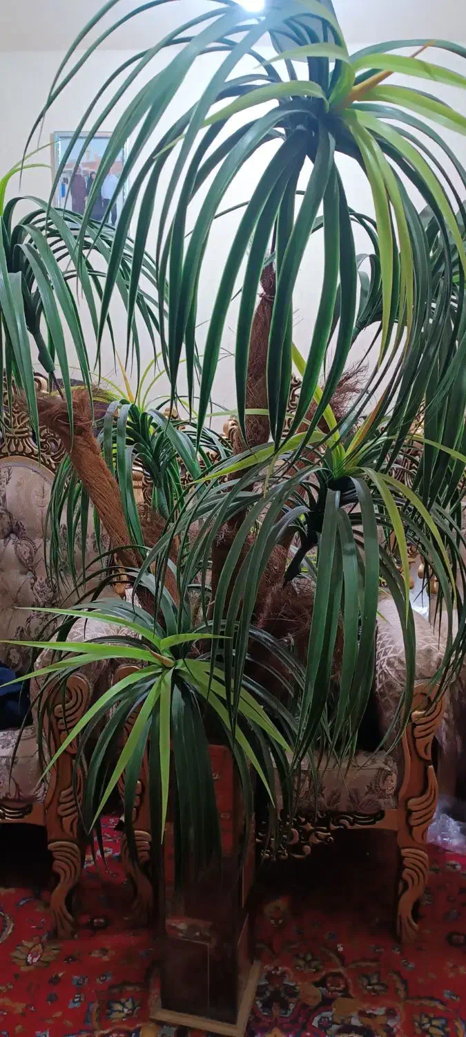 بهارستان|گل مصنوعی|اهواز, بهارستان|دیوار