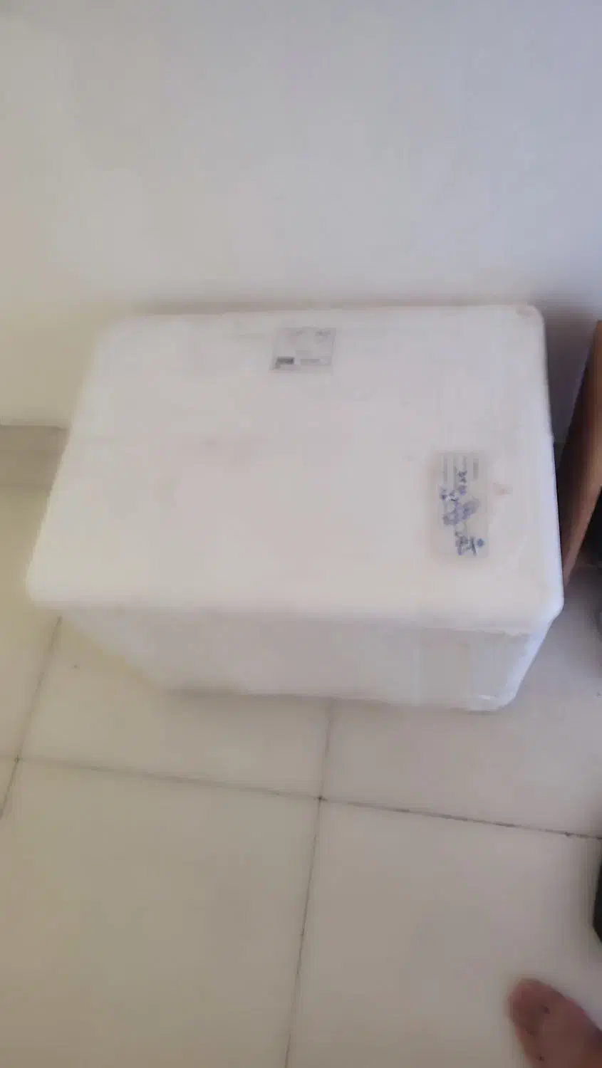 کلمن|ظروف نگهدارنده، پلاستیکی، یک‌بارمصرف|کیش, |دیوار