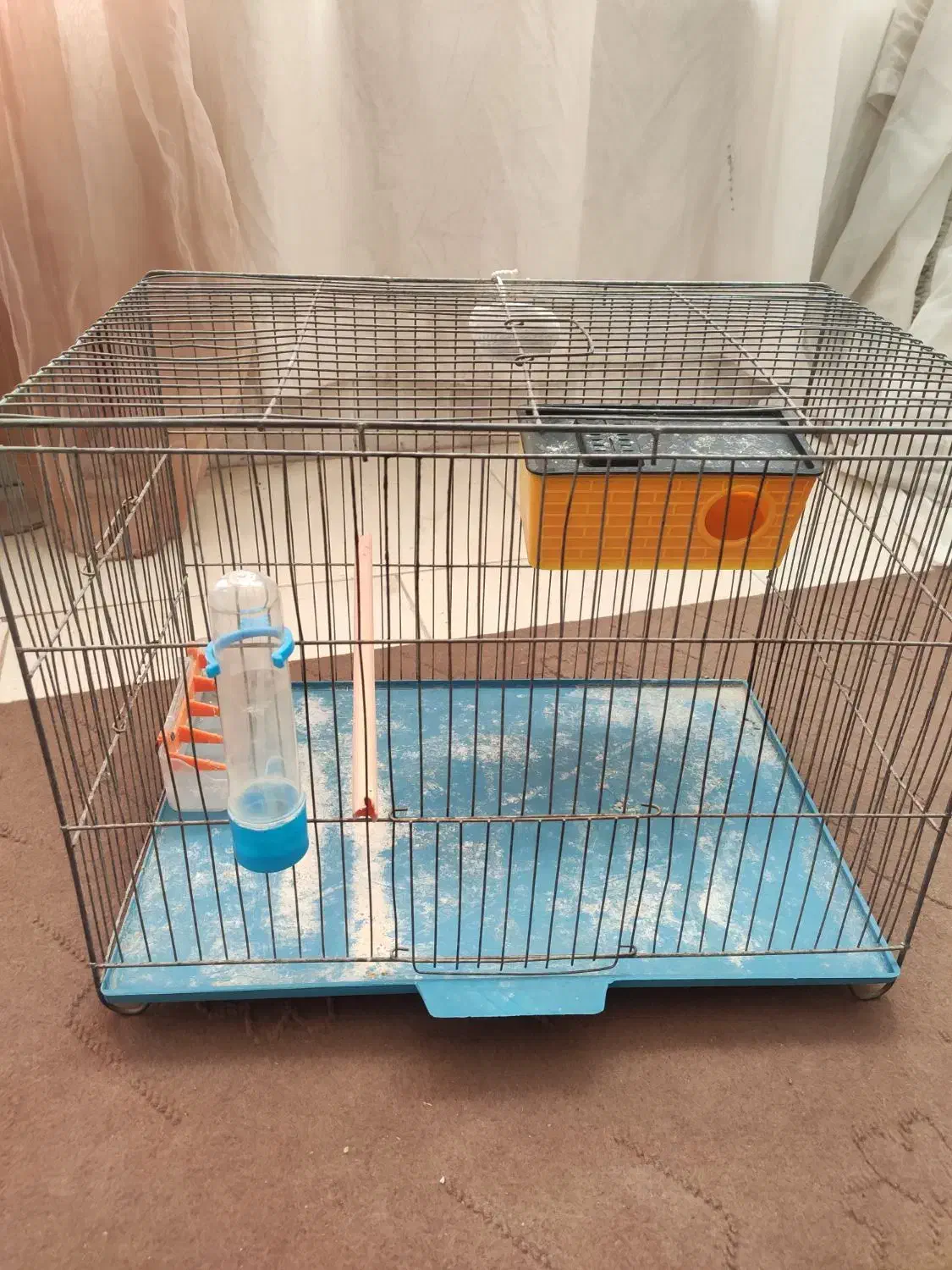 قفس پرنده|لوازم جانبی حیوانات|رفسنجان, |دیوار